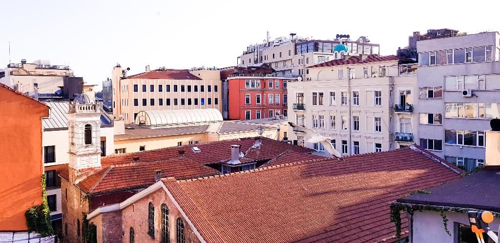Casa Rosa Suites, foto 11