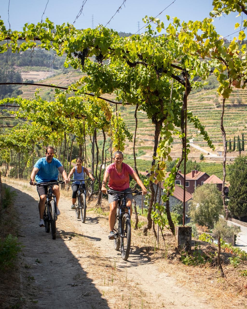 Six Senses Douro Valley , foto 11