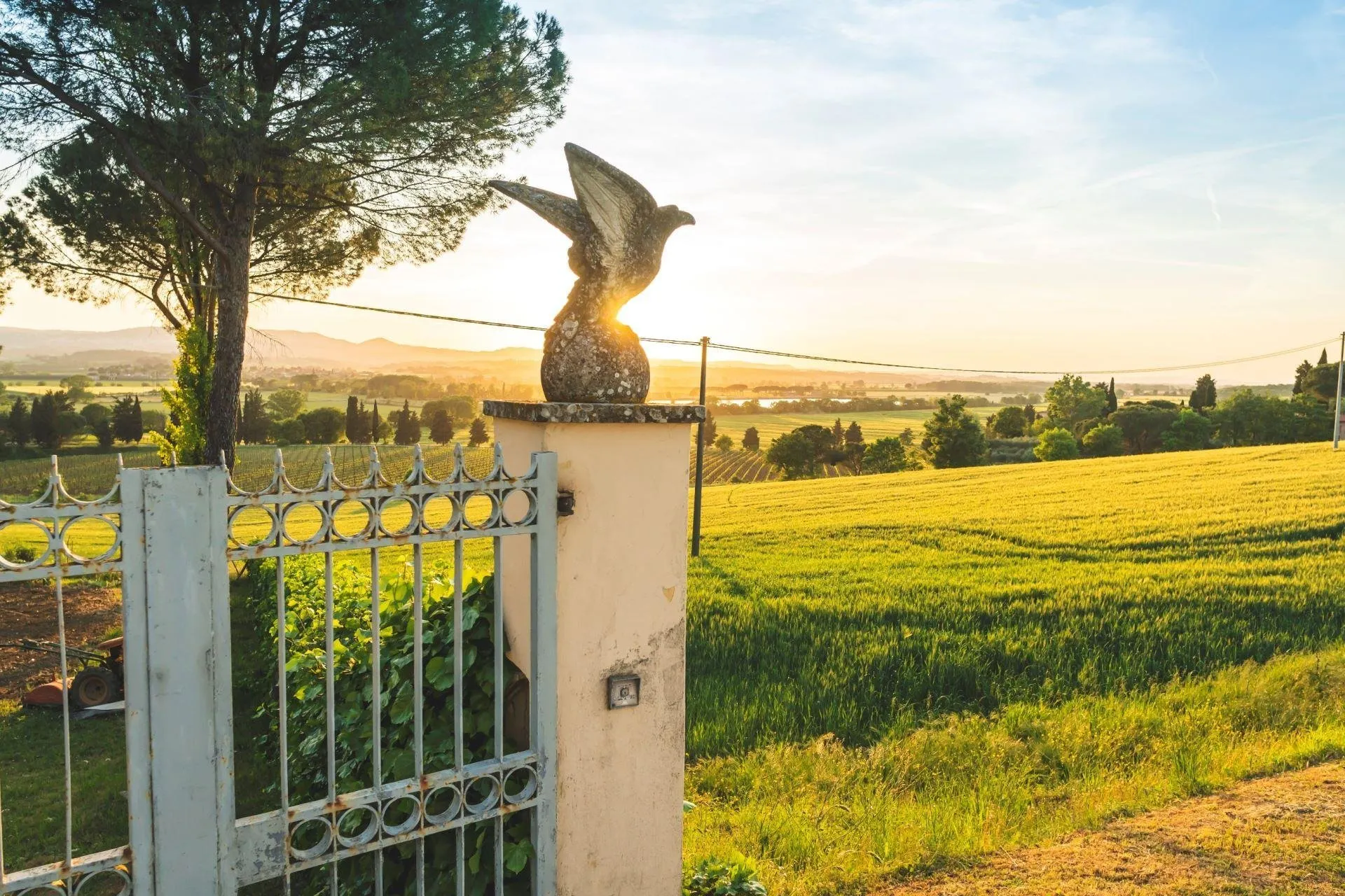 Poggio Falcone - omgeving