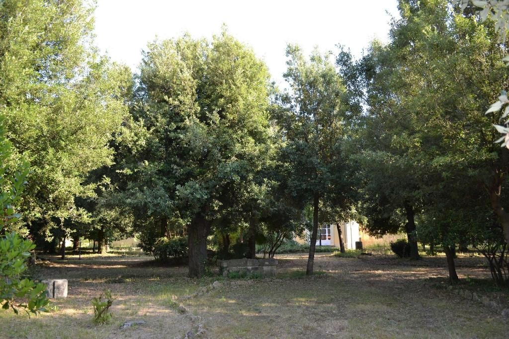 Agriturismo Villa Graziani, foto 15