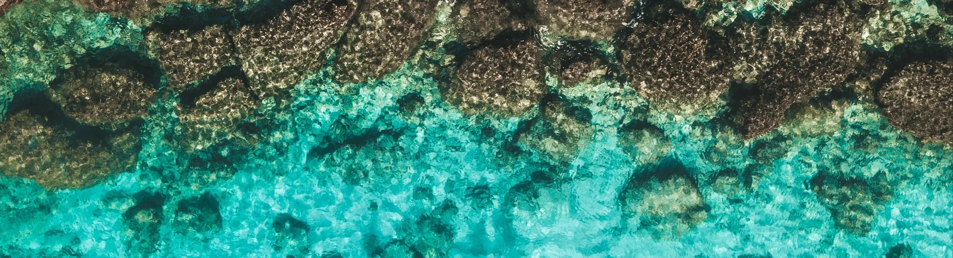 Vous vous rendez à Aruba ? Réservez votre hôtel dès maintenant avec Neckermann. Plongez bientôt dans les eaux bleues et limpides.