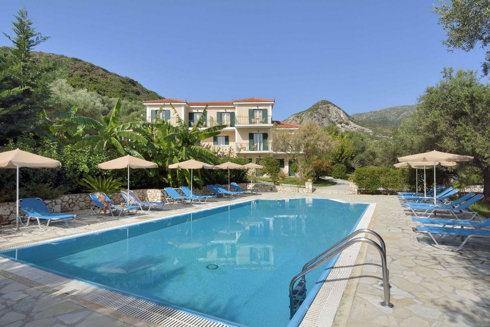 Anemona, foto 3
