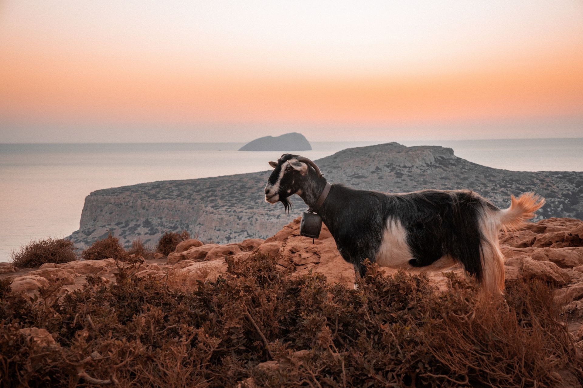 Ontdek de noordkust van Kreta, foto 6