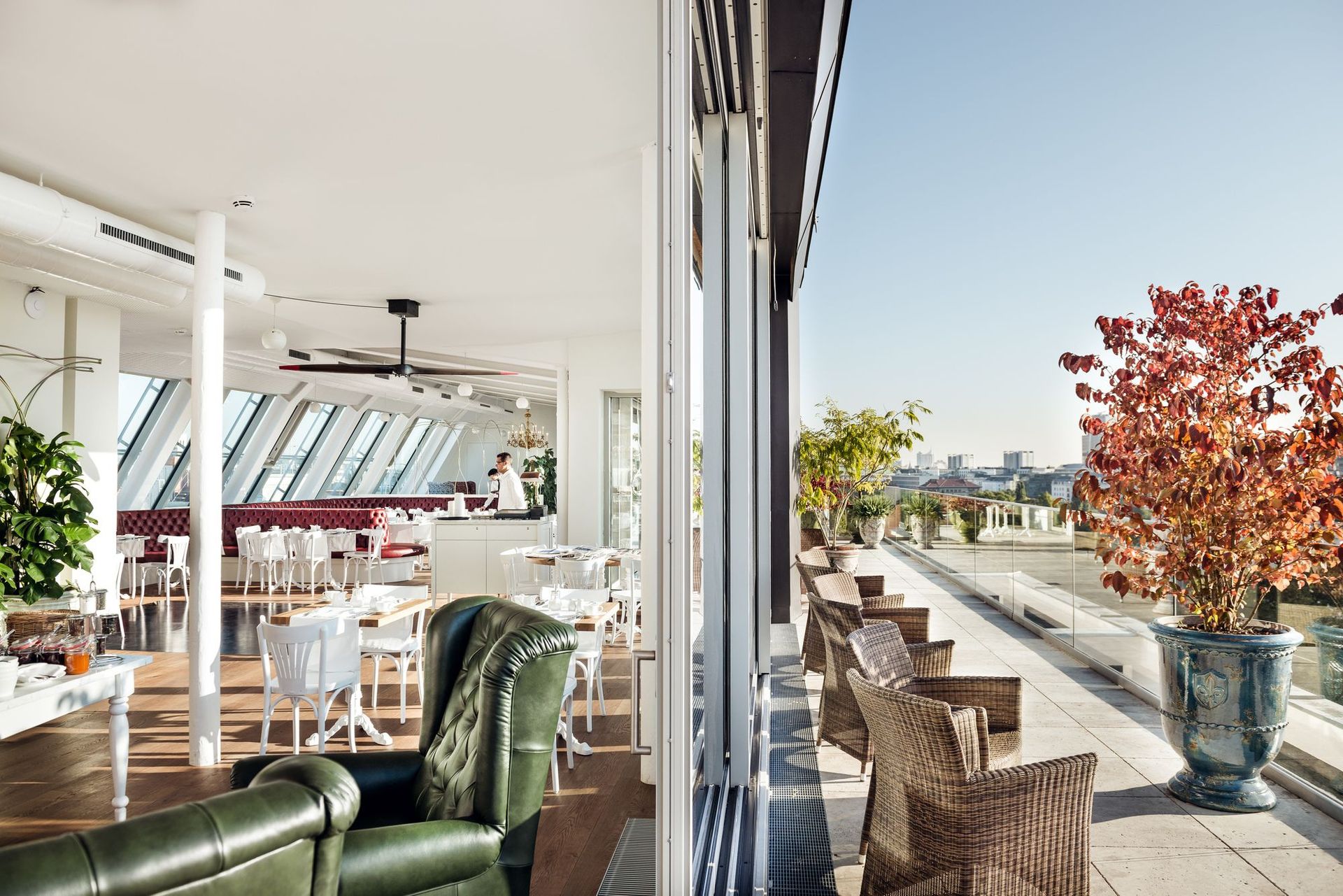 Grand Ferdinand, foto 3