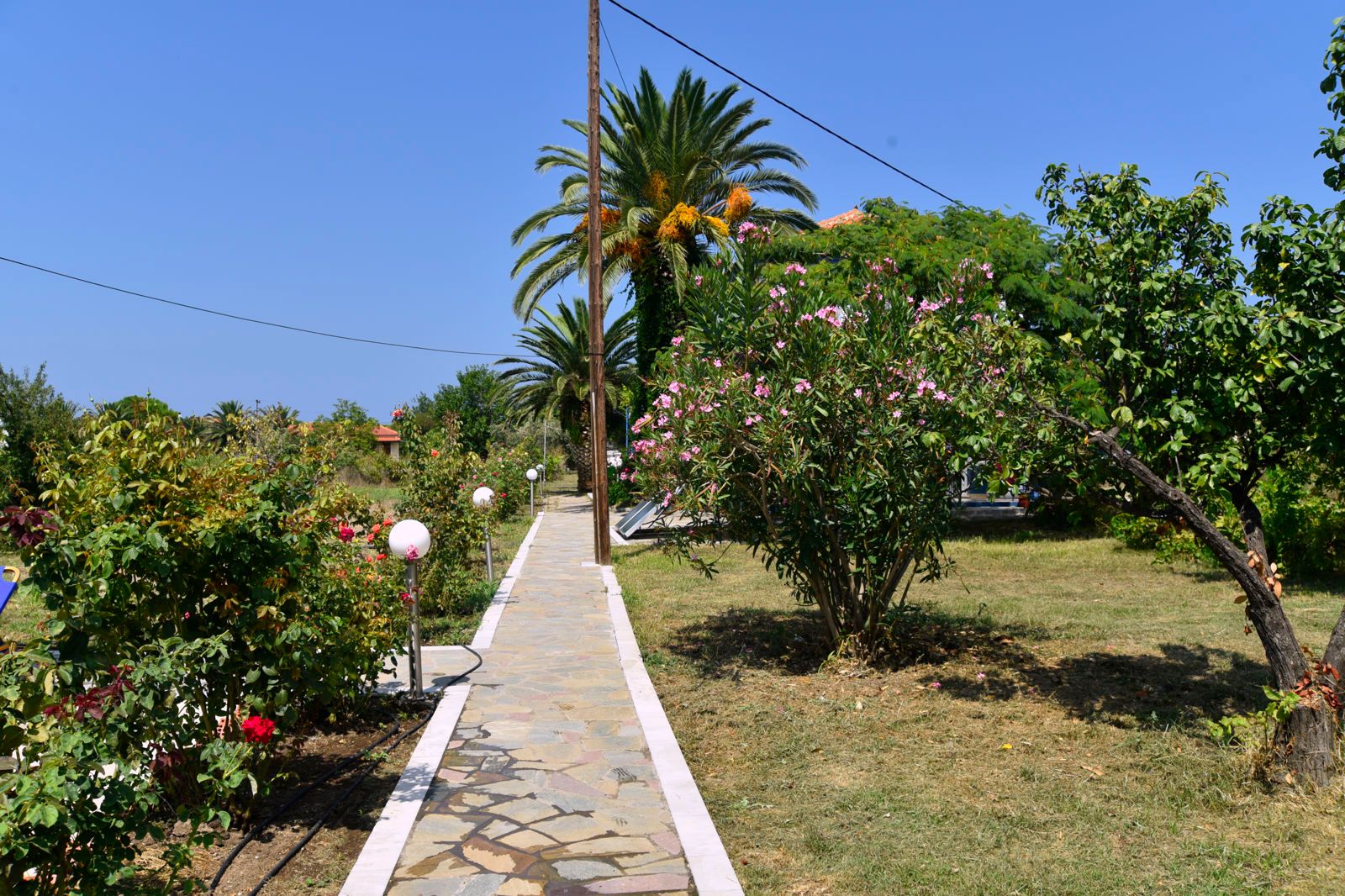 Anna Maria Apartments, foto 13