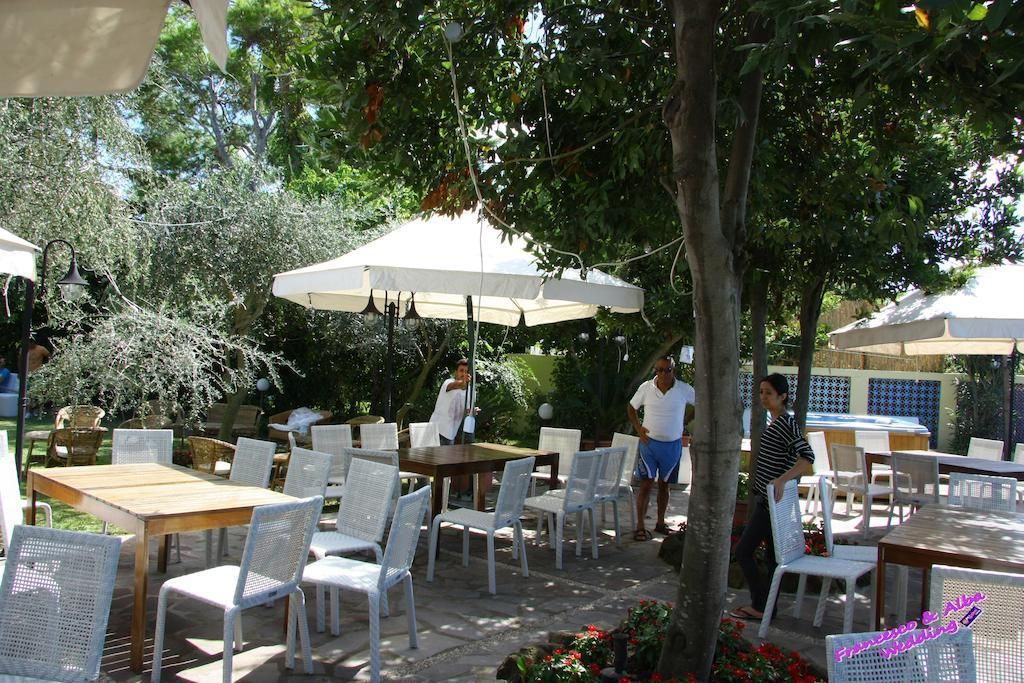 Solcalante, foto 13