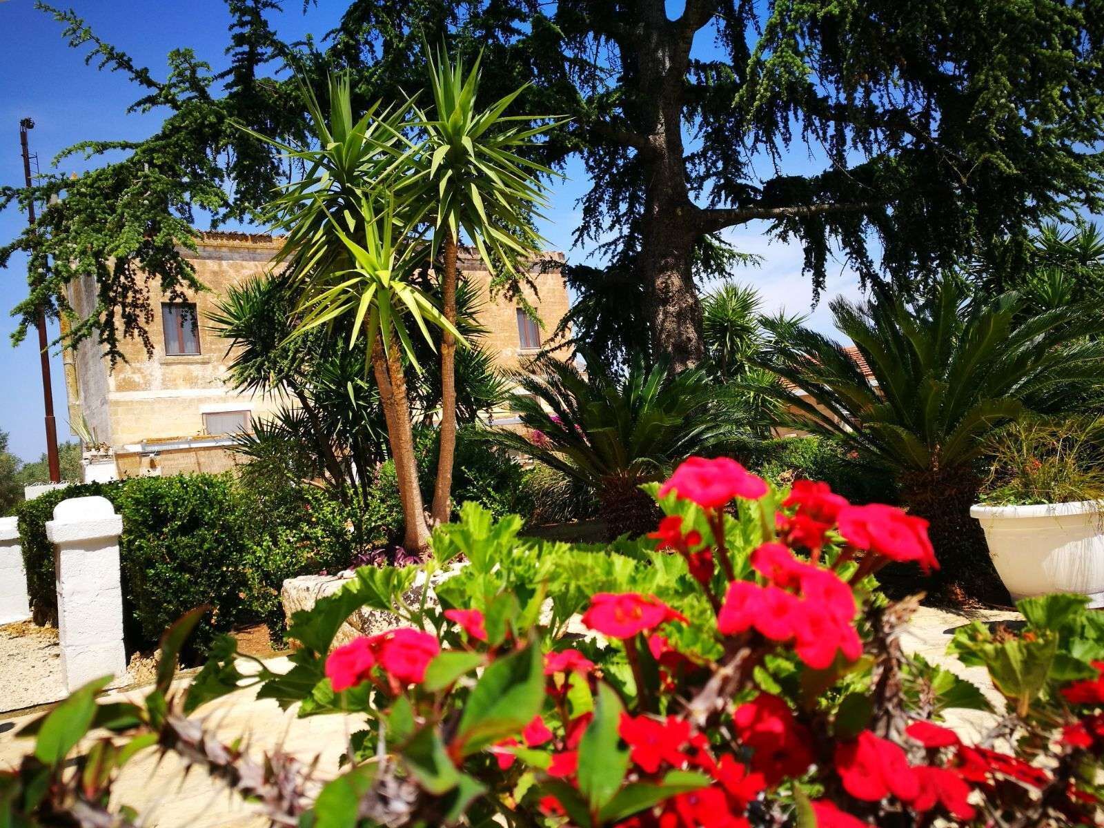 Agriturismo Tenuta Mazzetta, foto 8