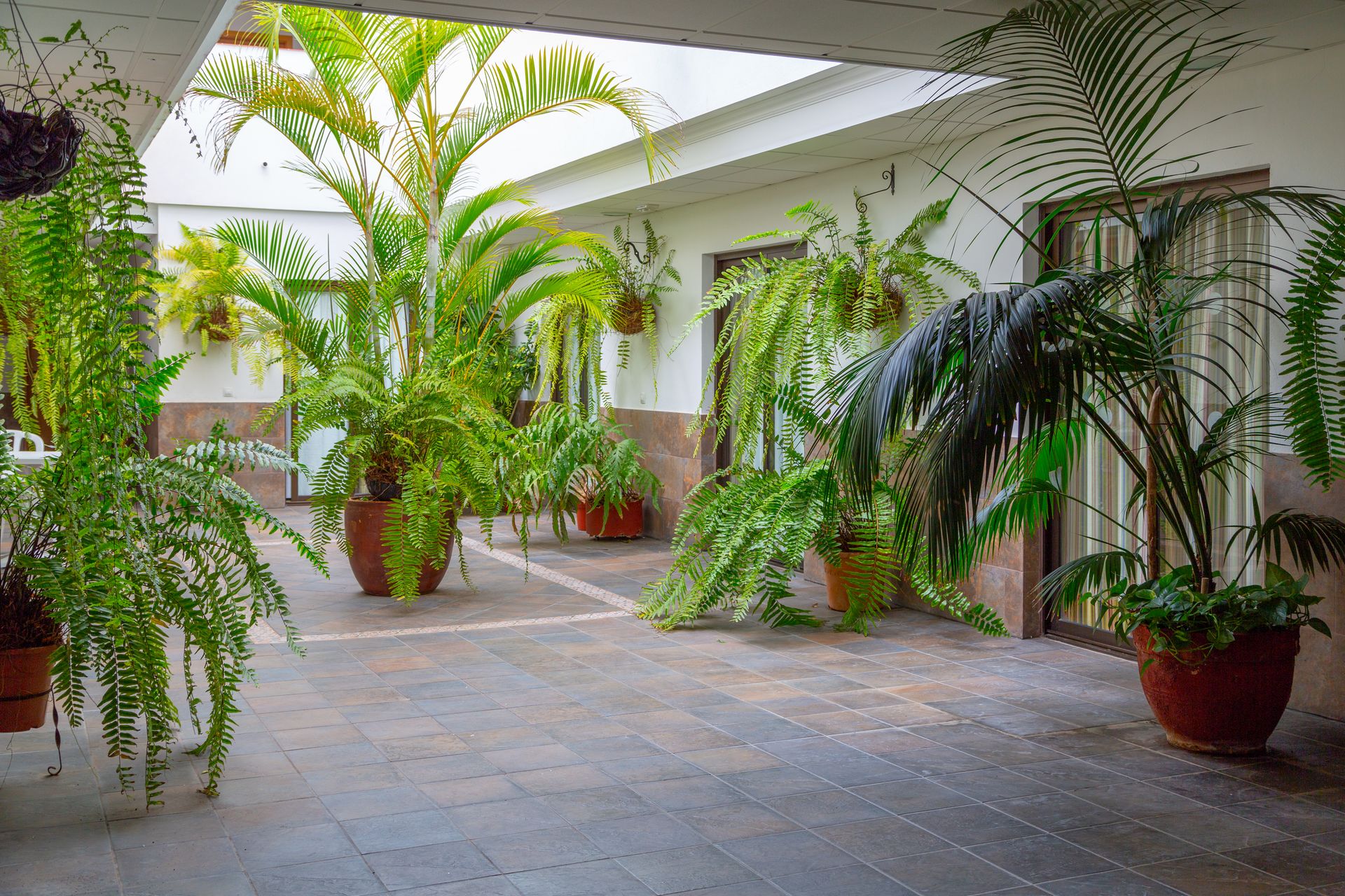 Hotel Marquesa, foto 13