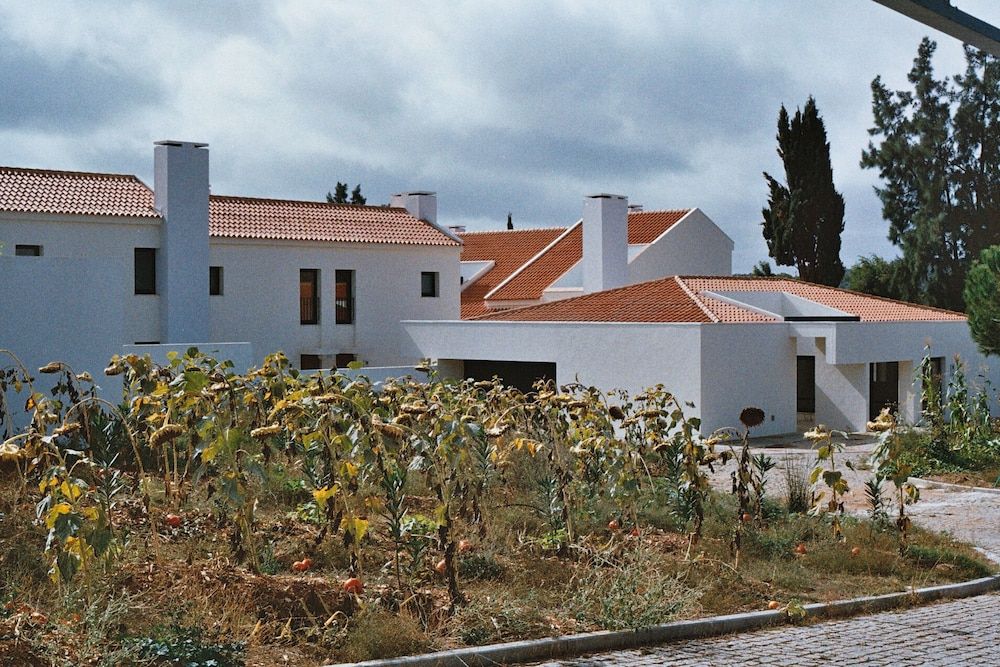 Calipo, foto 15