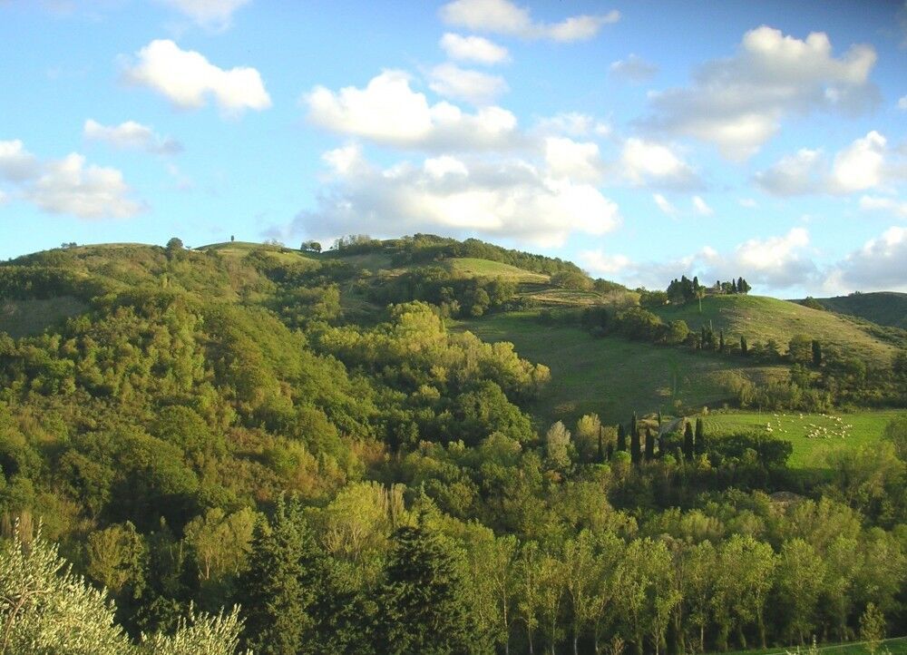 Podere Sei Poorte, foto 6