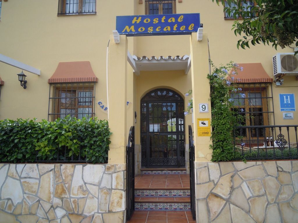 Hostal Moscatel, foto 15