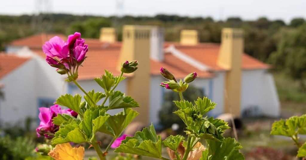 Monte do Giestal - Casas de Campo & Spa, foto 10