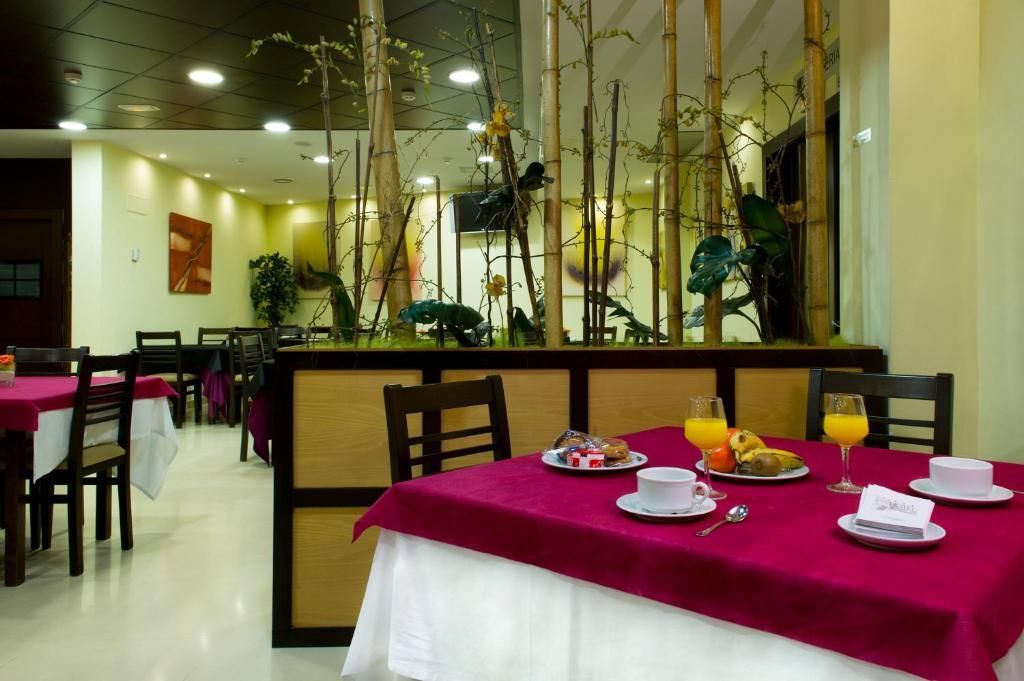 Hotel Ciudad de Sabiñánigo, foto 12
