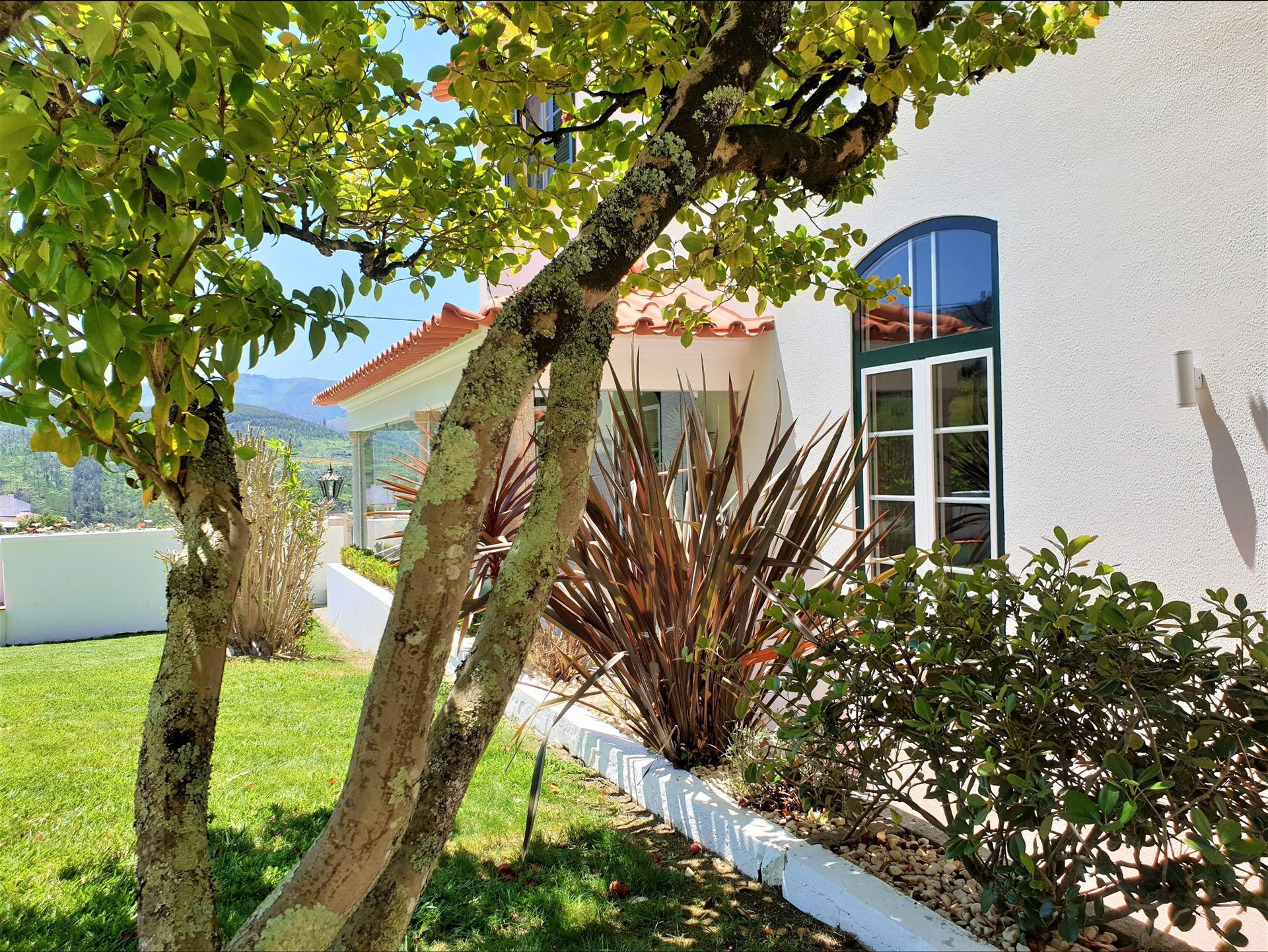 Quinta da Palmeira Country House Retreat, foto 9