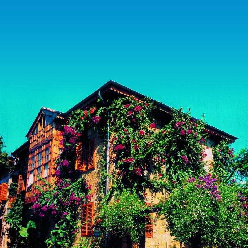 Begonville Pansiyon, foto 13