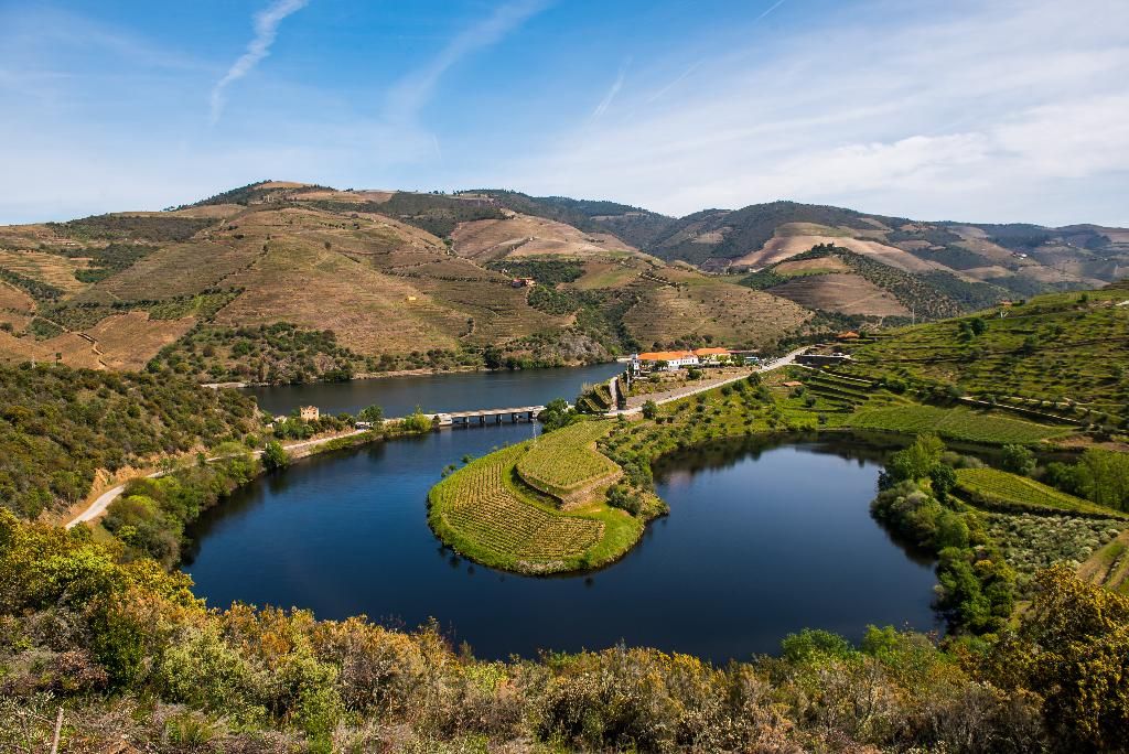 Vila Gale Douro Vineyards, foto 12