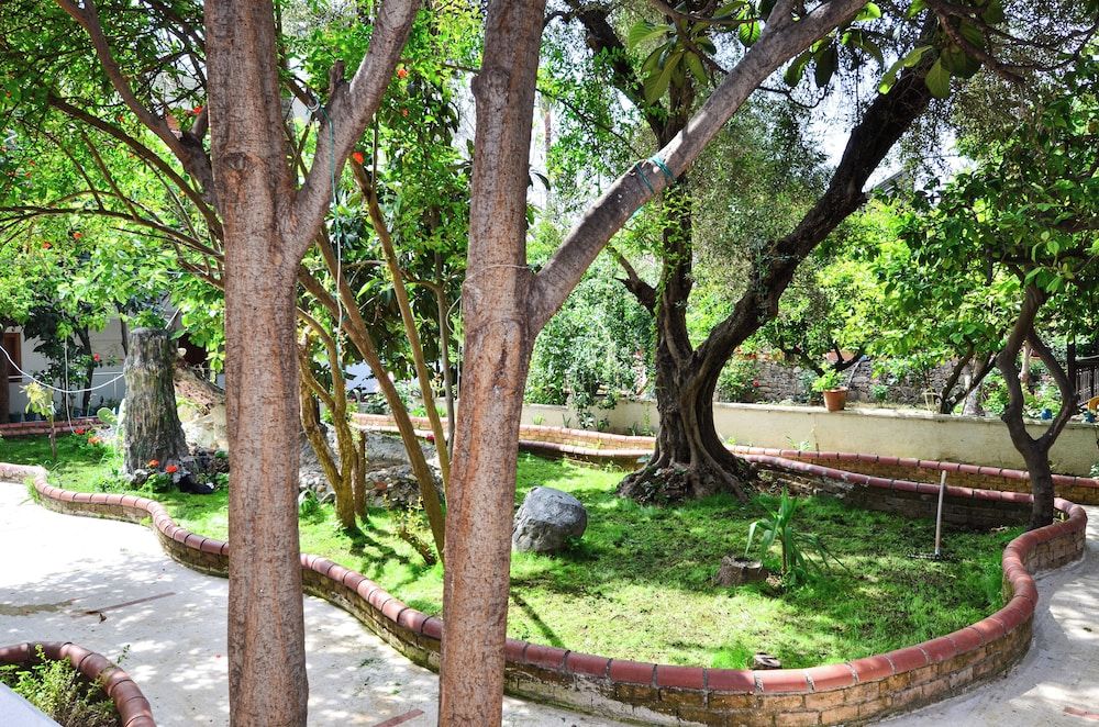 Tropic Hotel, foto 9
