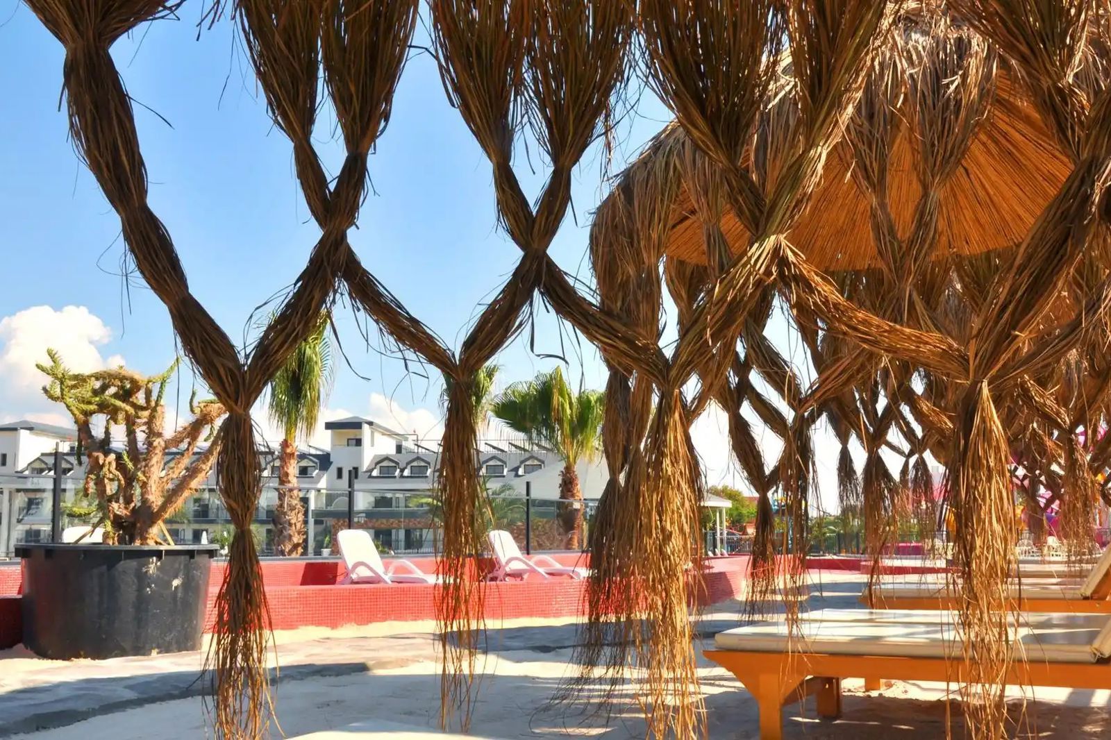 Dream World Palace, foto 4