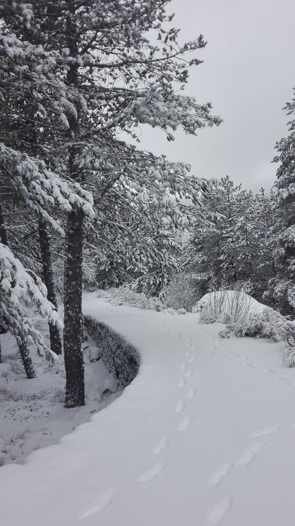 Pousada Serra da Estrela - Historic Hotel, foto 2
