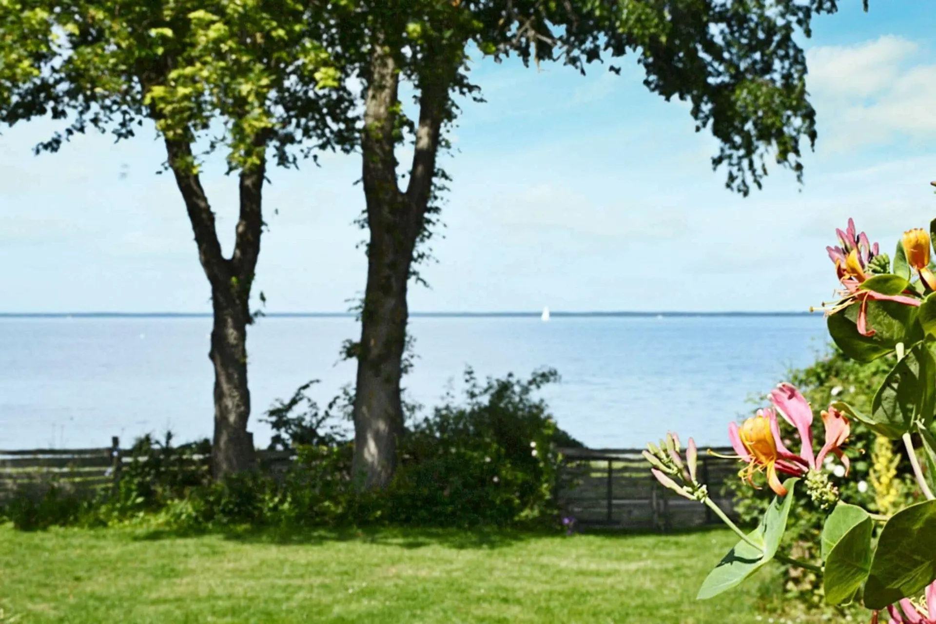 Uitzicht op het water