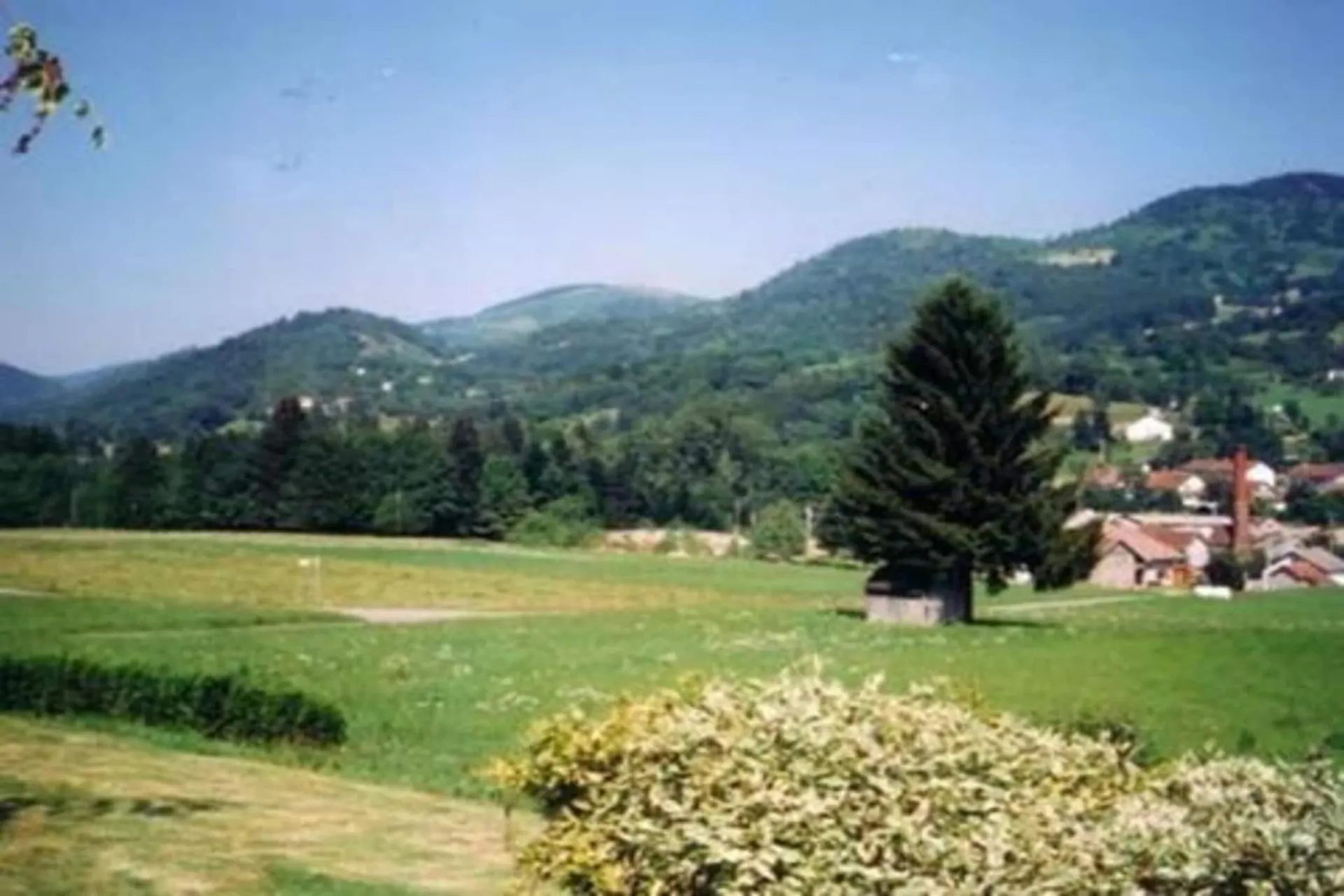In de regio (zomer) (>5 km)