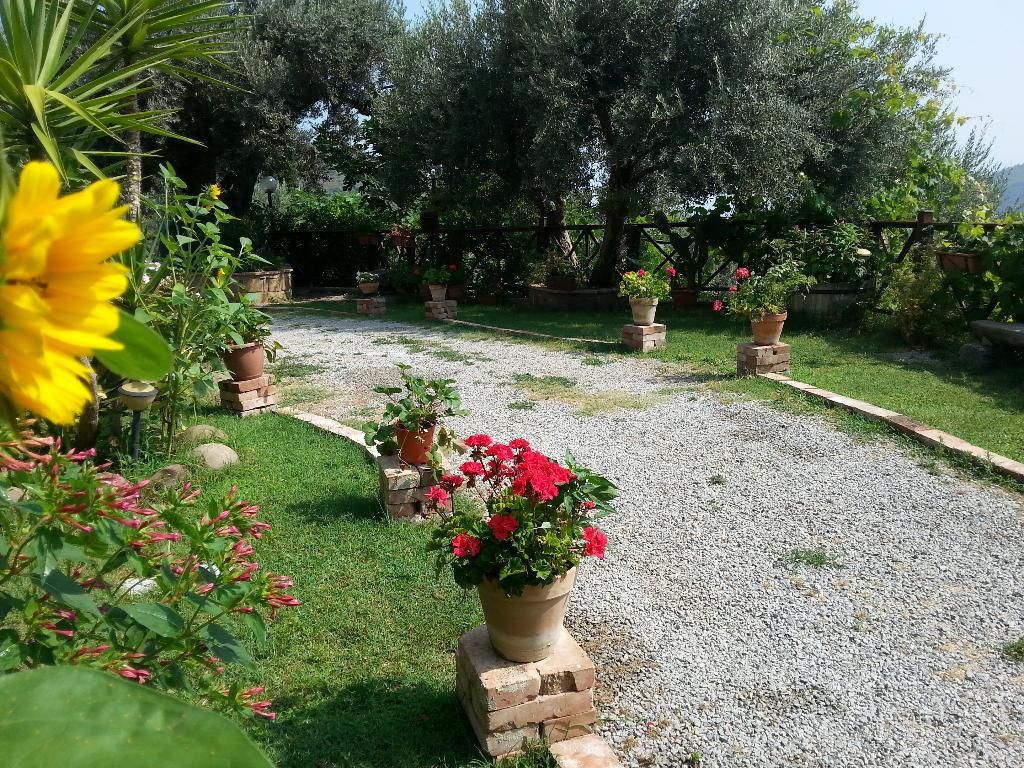 L'uliveto, foto 6