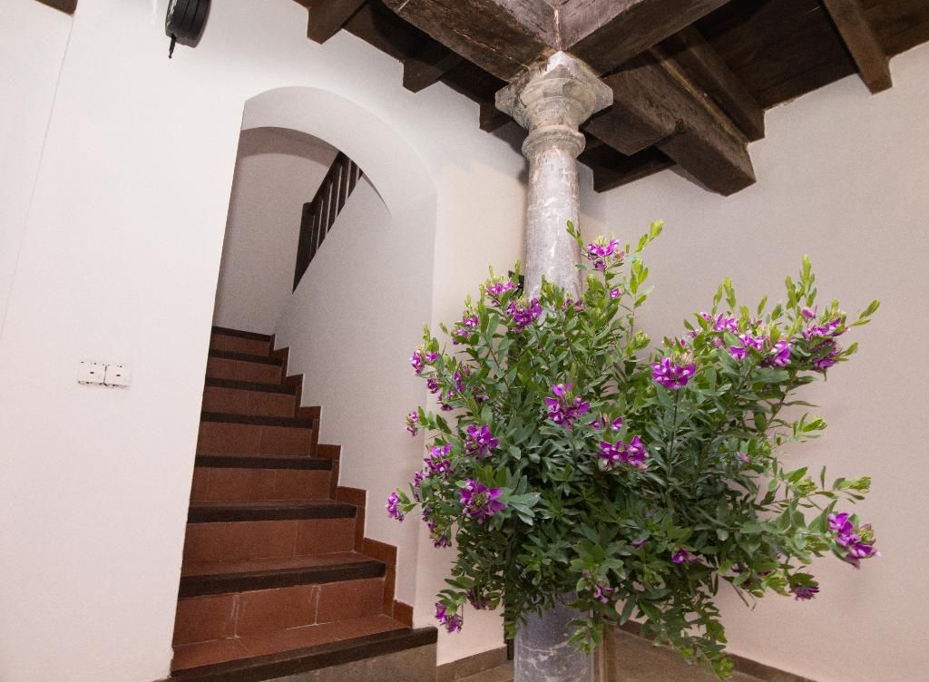 Apartamentos Granada Nahira Suites 3000, foto 14
