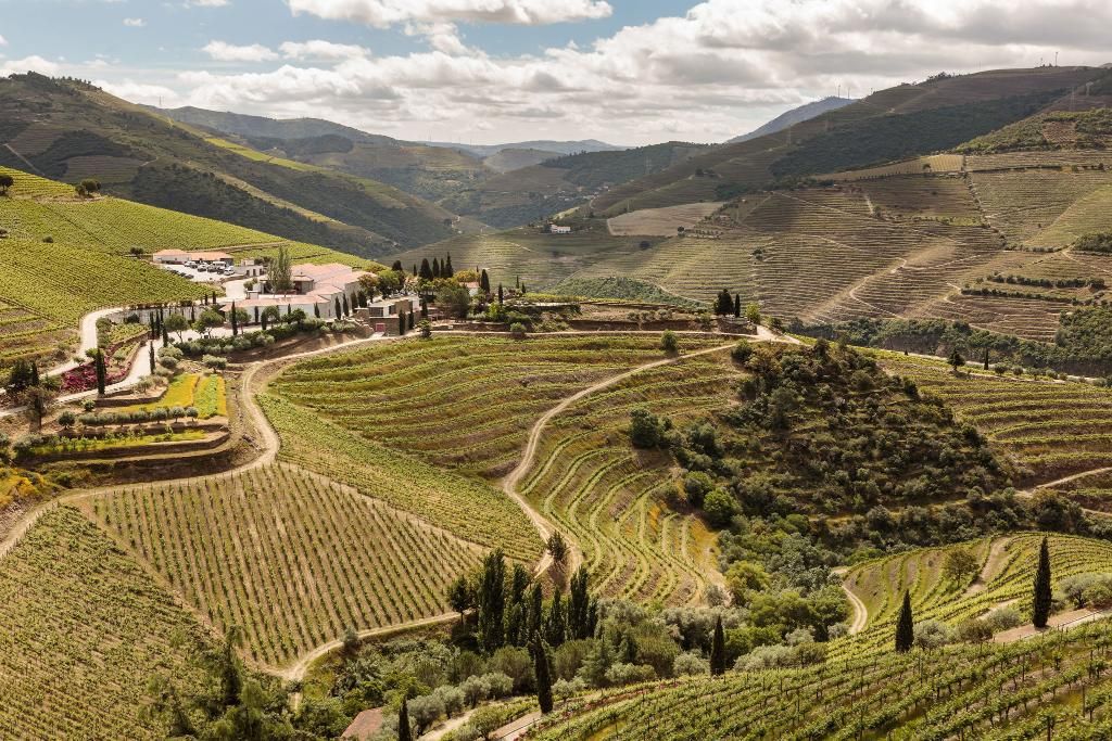 Quinta Nova de Nossa Senhora do Carmo - Winery House, foto 12