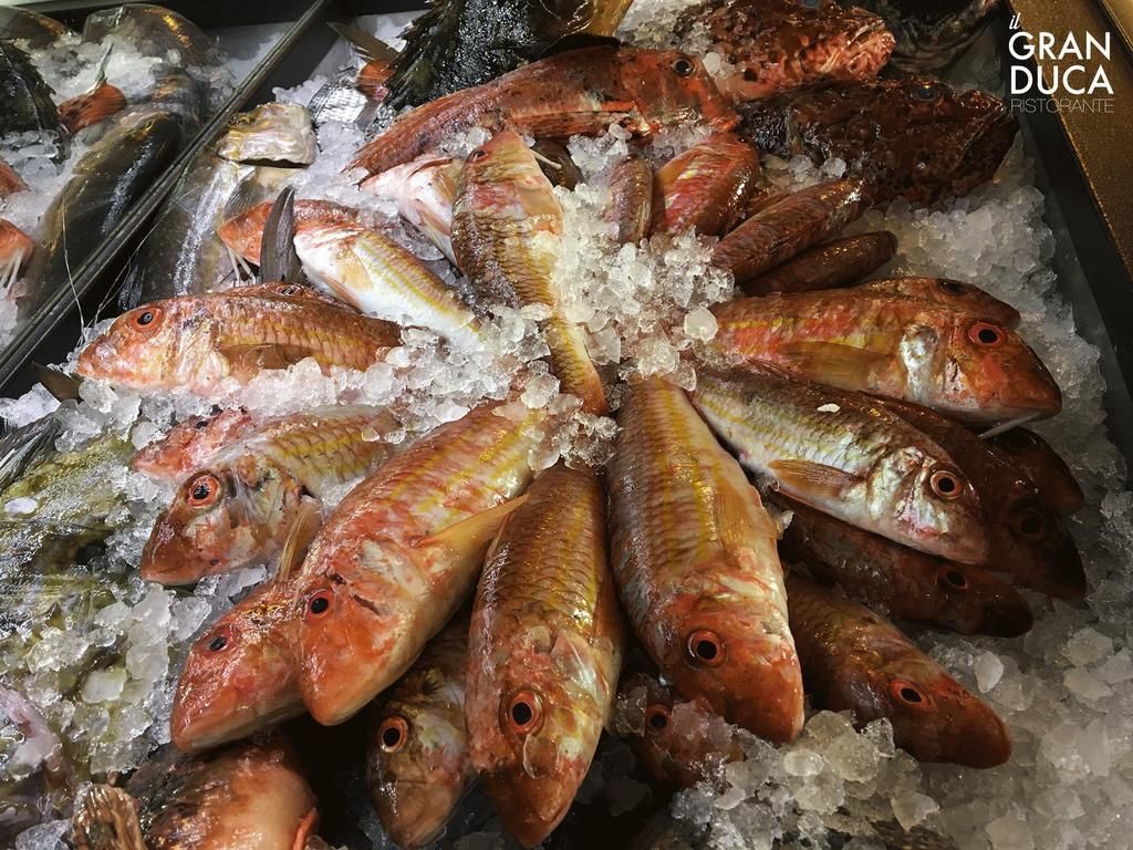Gran Duca, foto 8