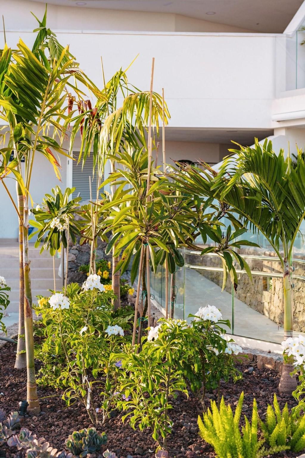 Grand Horizon Boutique Resort, foto 2