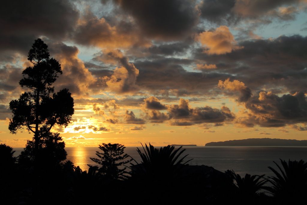 Canico Bay Apartments, foto 14
