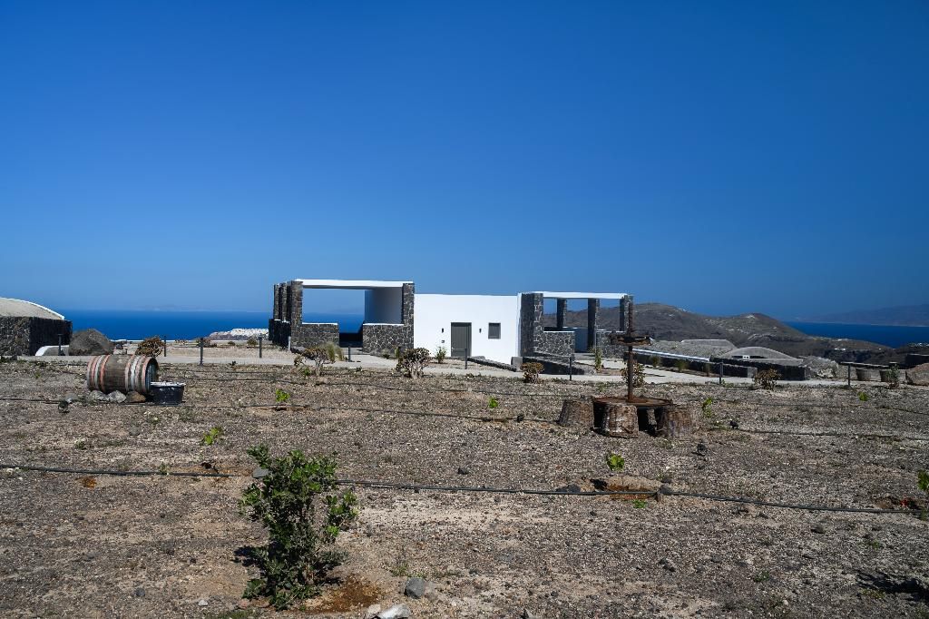Arany Terra, foto 6