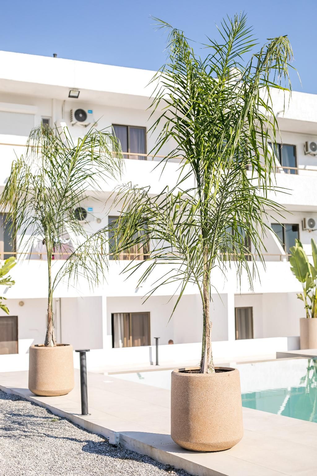 Nikos BnB, foto 6