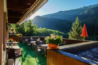 Terras