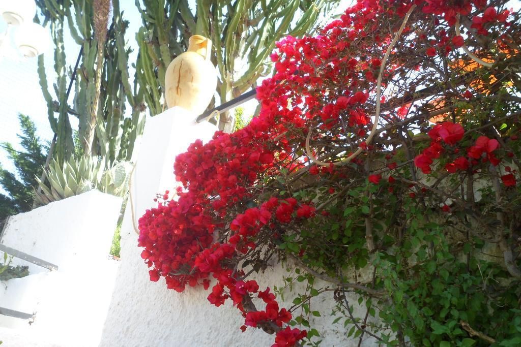 Hotel Park Calitto, foto 9