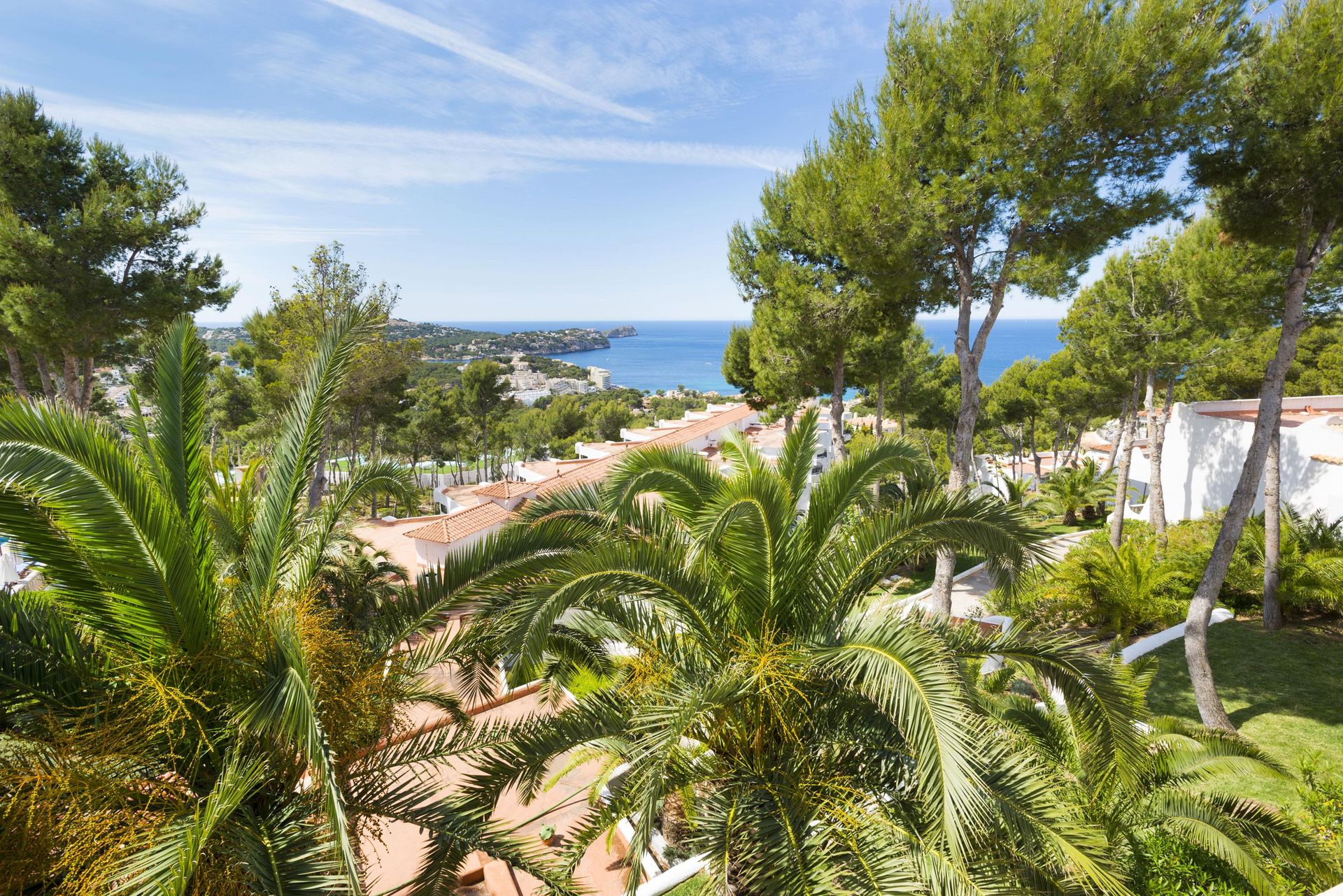 Hilton Mallorca Galatzo, foto 15