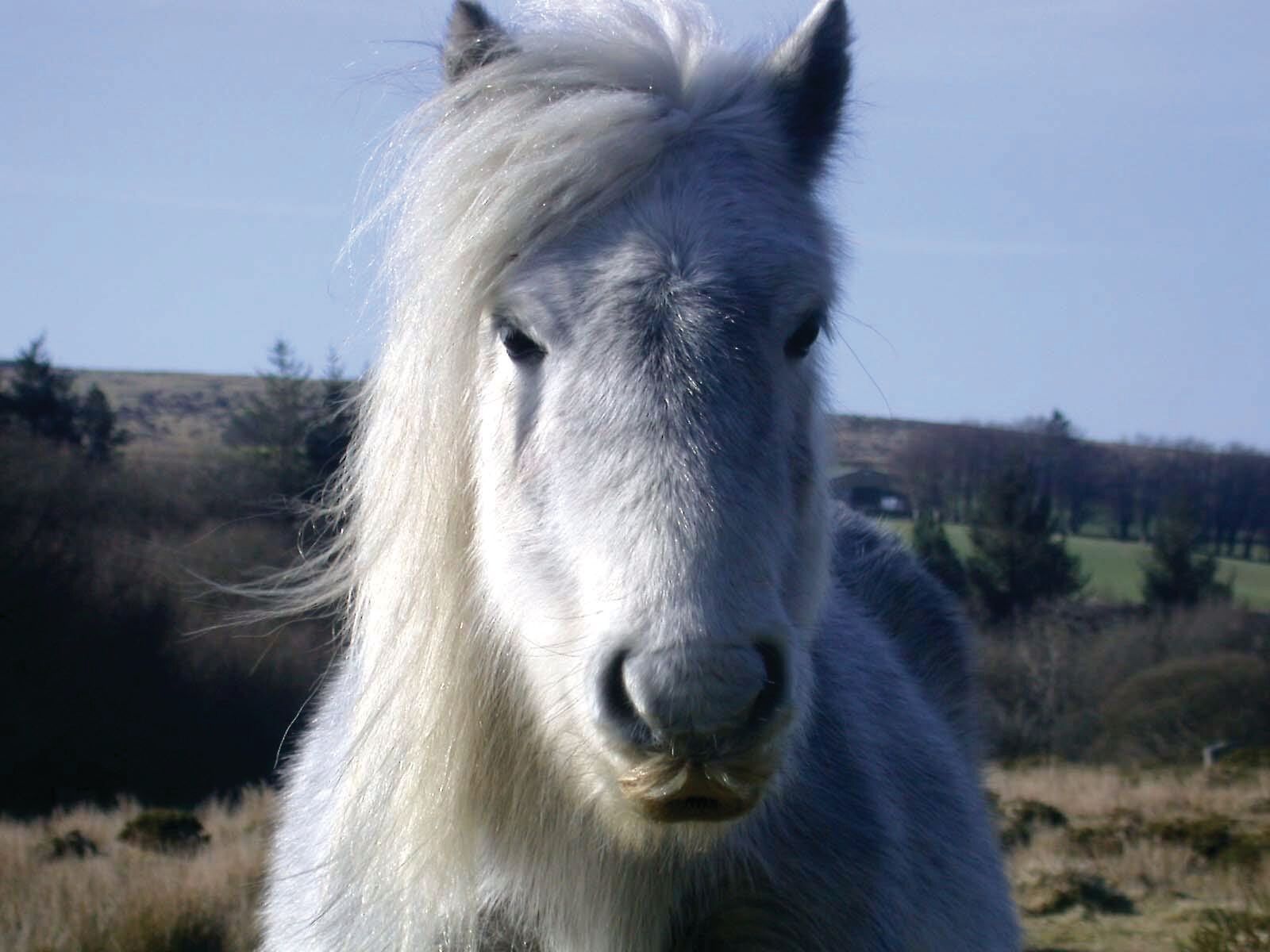 Ontdek Devon en Cornwall, foto 8
