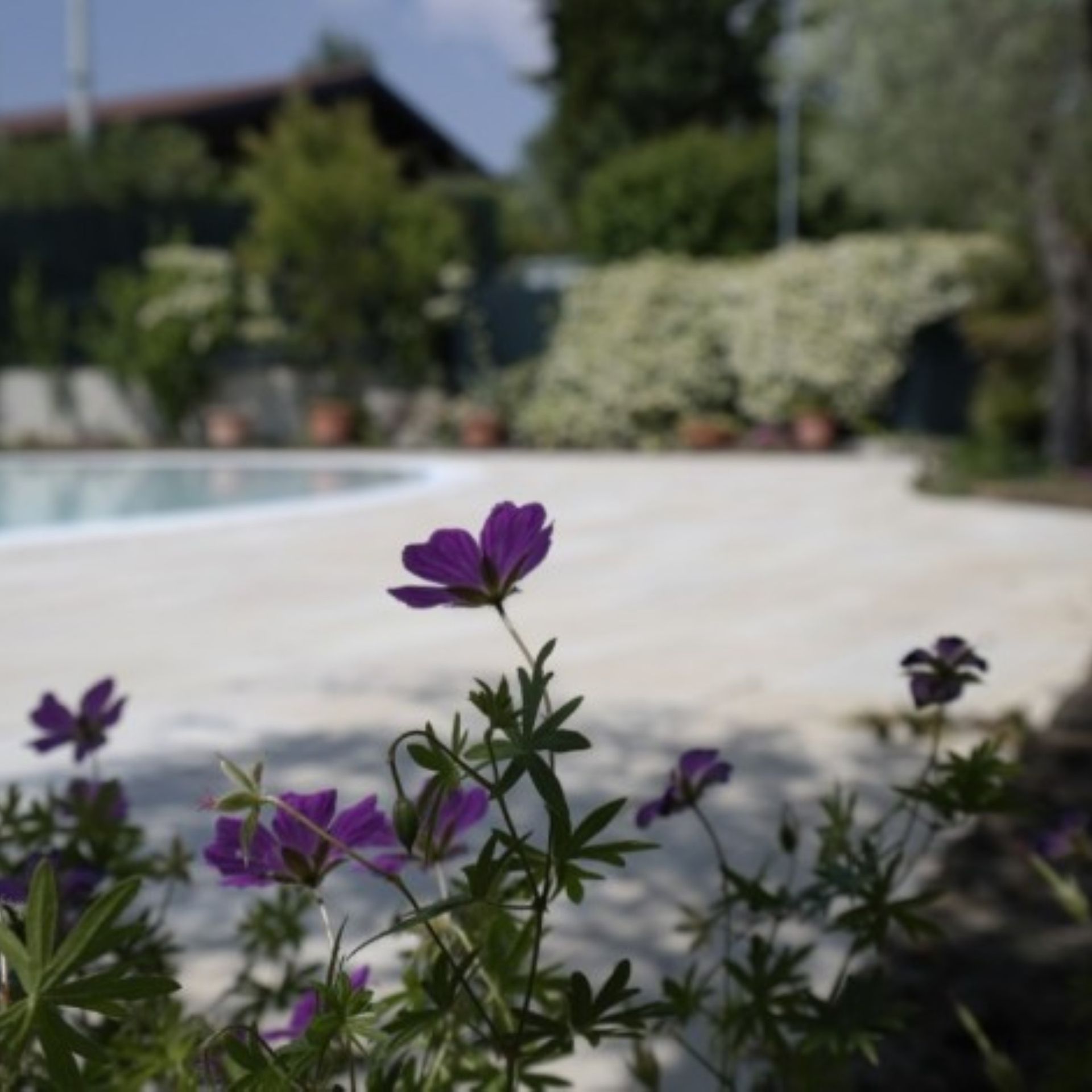 Baia Holiday Gardasee, foto 4