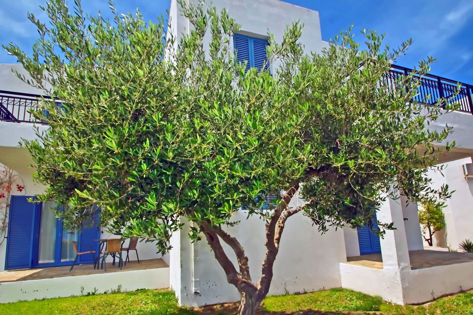 Palatia Village, foto 15