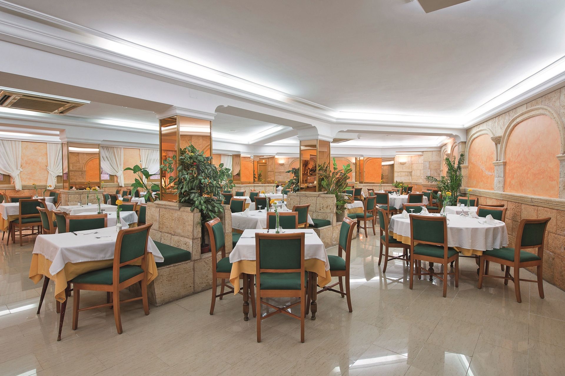 Venecia Paguera Hotel, foto 12