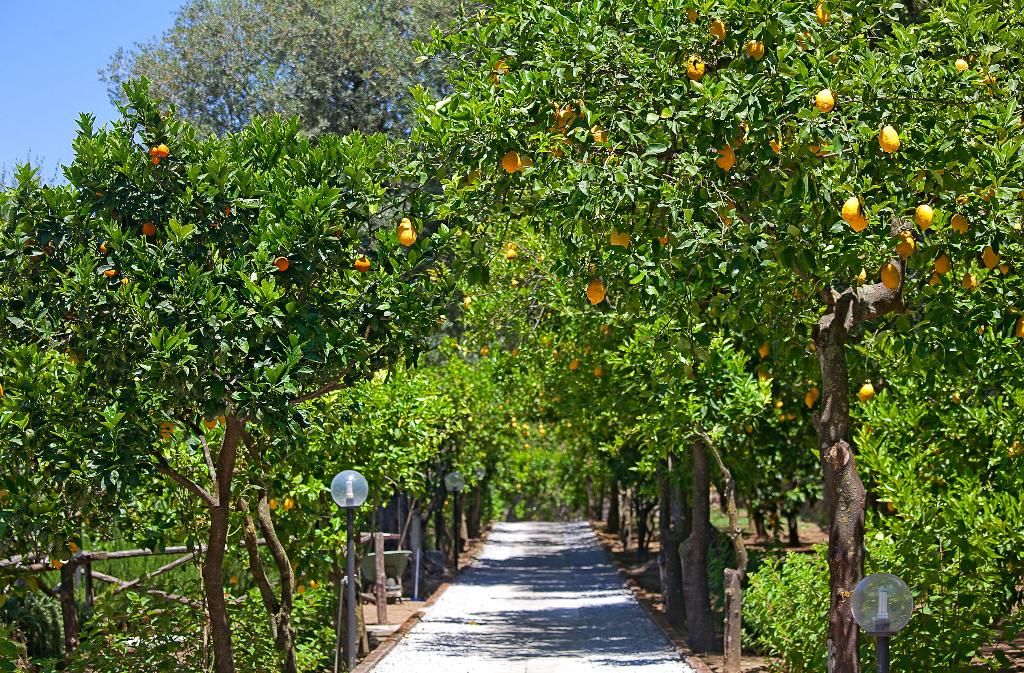 Villa Oriana Relais, foto 4
