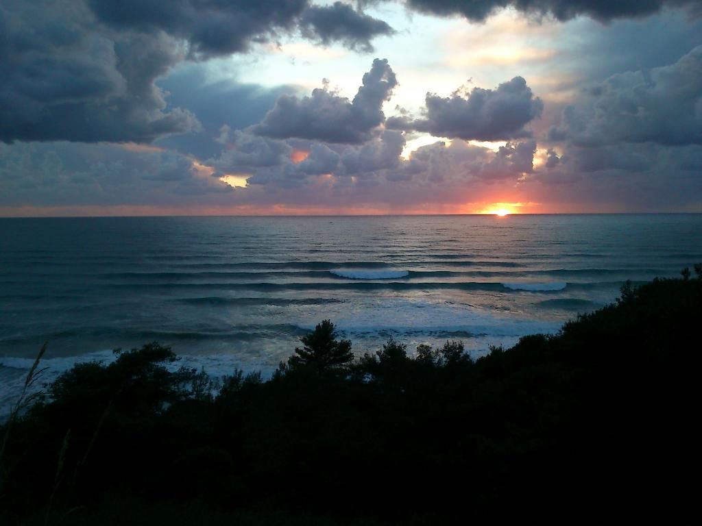Palmina Mare, foto 8