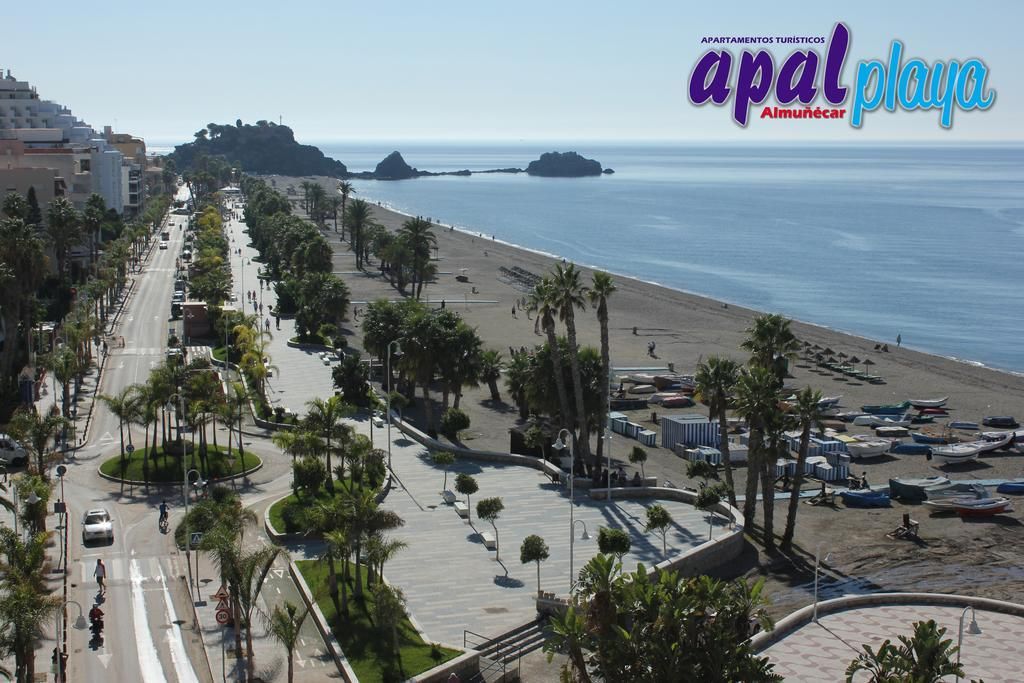 Apal Chinasol, foto 12