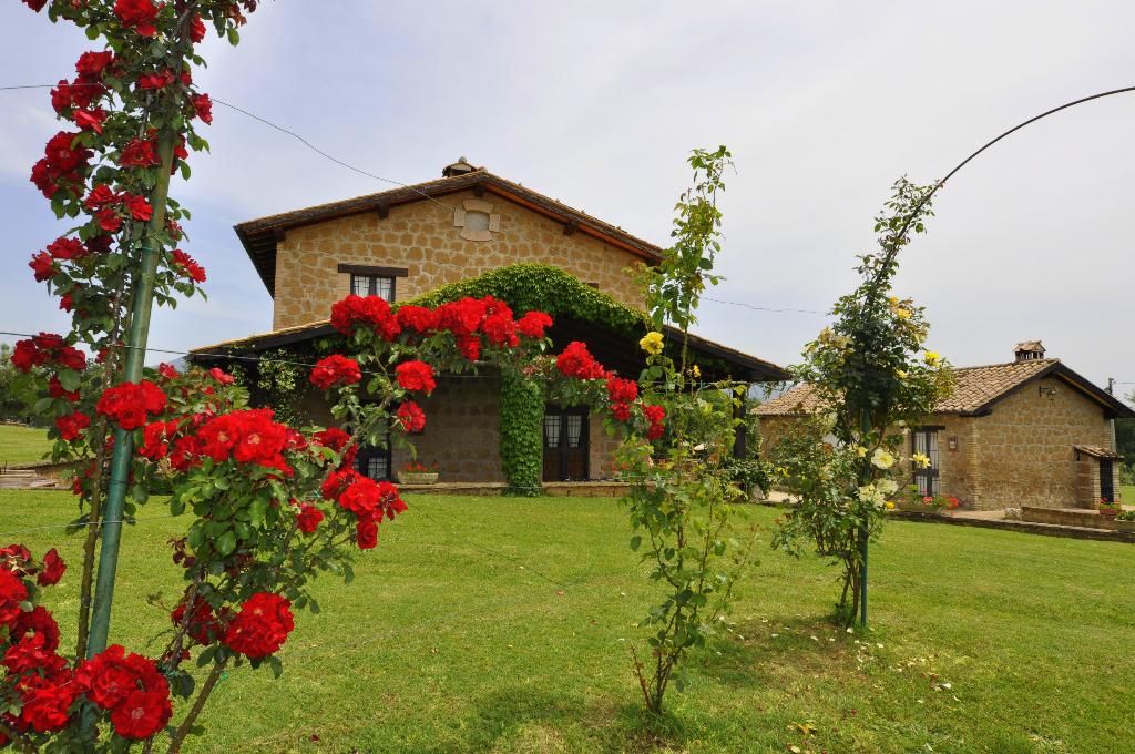Borgo Noci Querceto, foto 15