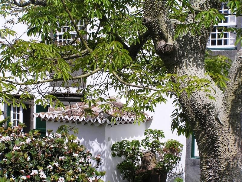Casa das Calhetas, foto 6