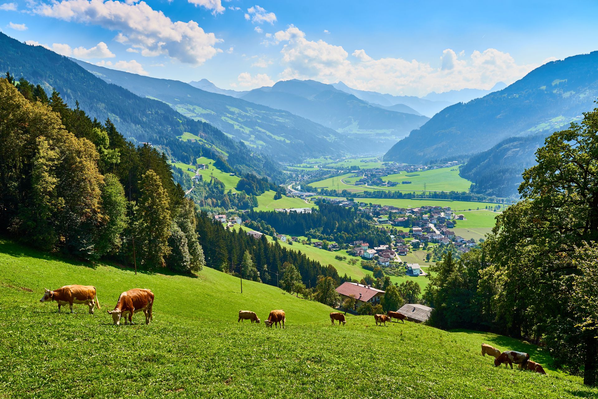 Ontdek de Zillertaler Alpen vanuit Königsleiten, foto 6
