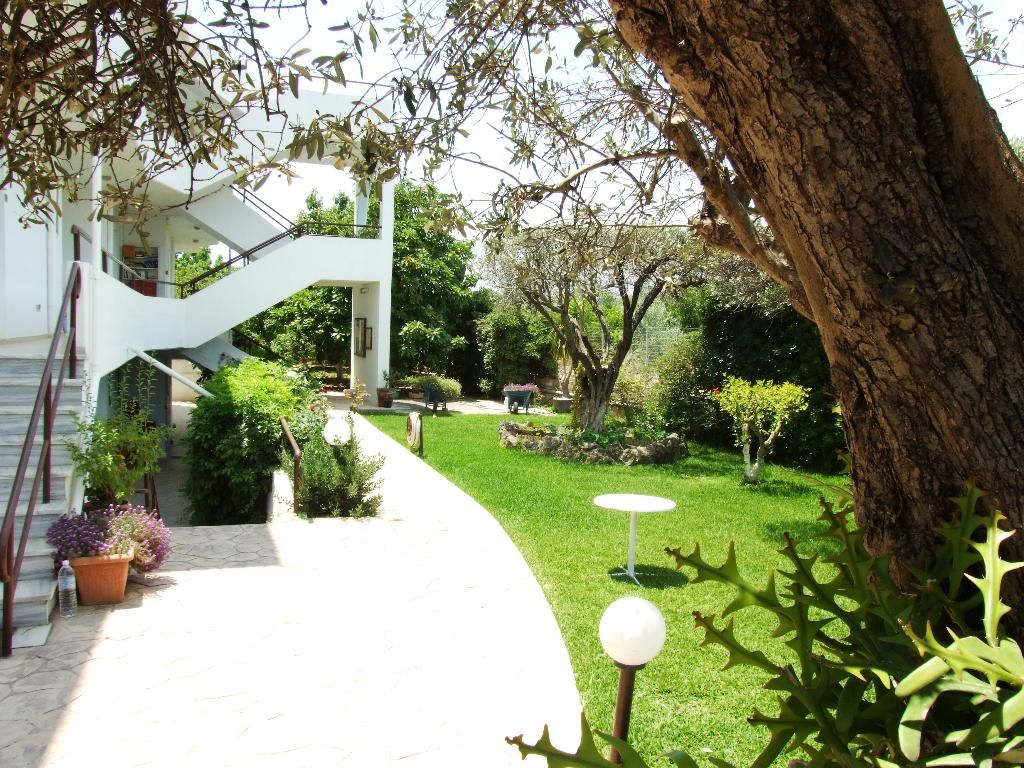 Sokrates, foto 3
