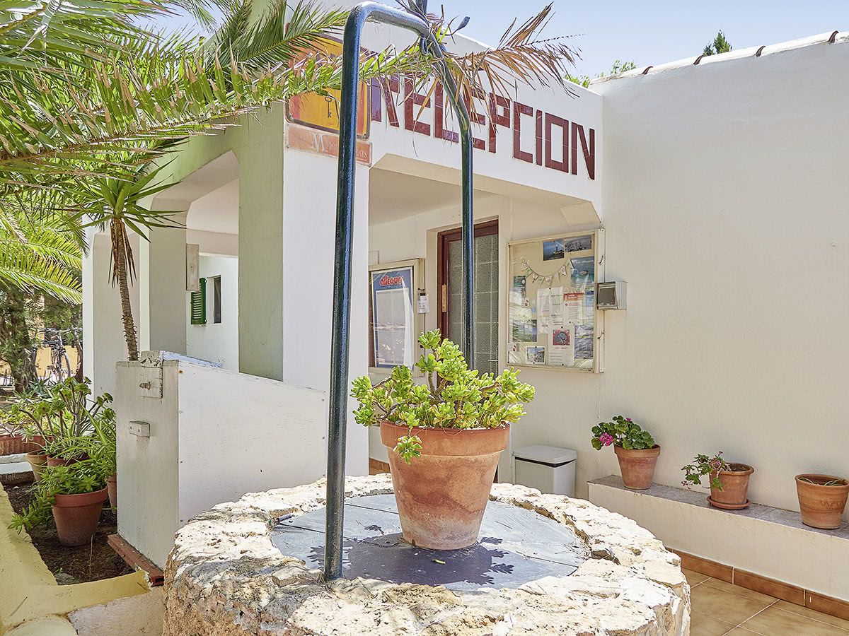 La Palmera, foto 9