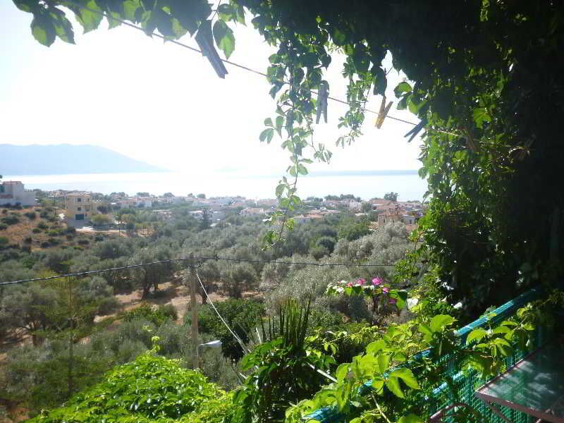 Villa Jota, foto 15