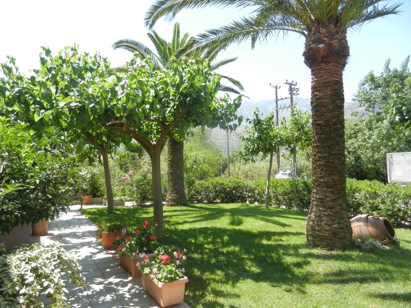 Athena, foto 10
